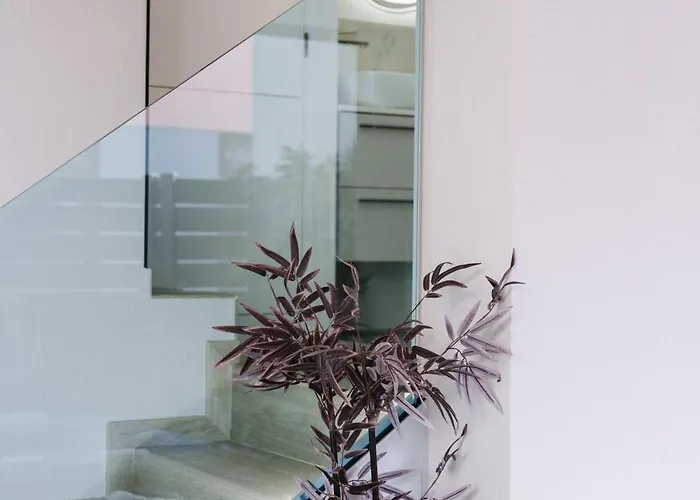 Arena & Cielo By Airnest