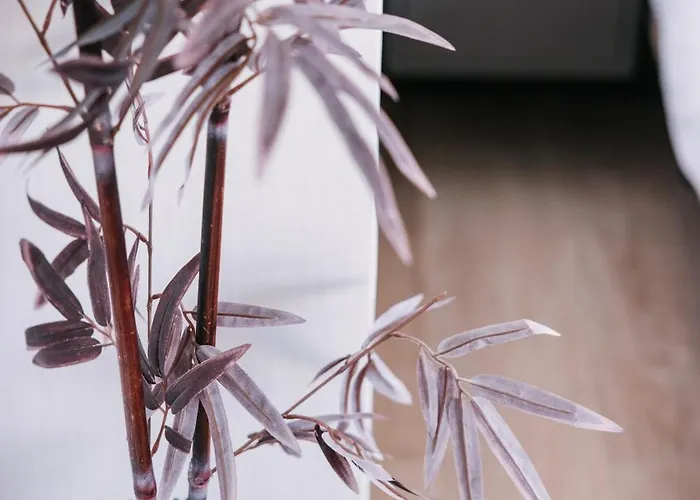 Arena & Cielo By Airnest *