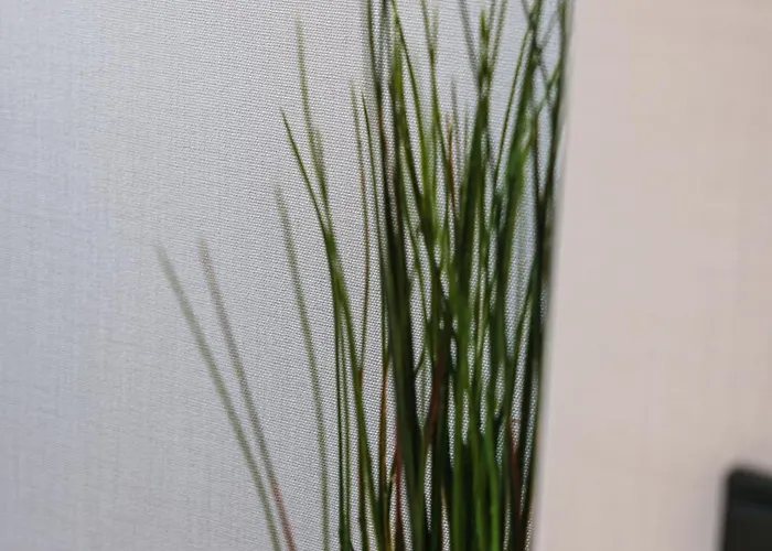 Arena & Cielo By Airnest Lejlighed Las Palmas de Gran Canaria